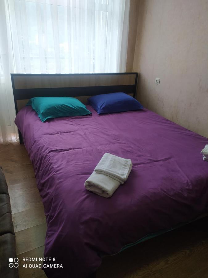 Alena'S Flat Appartement Bordzjomi Buitenkant foto