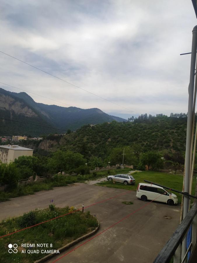 Alena'S Flat Appartement Bordzjomi Buitenkant foto