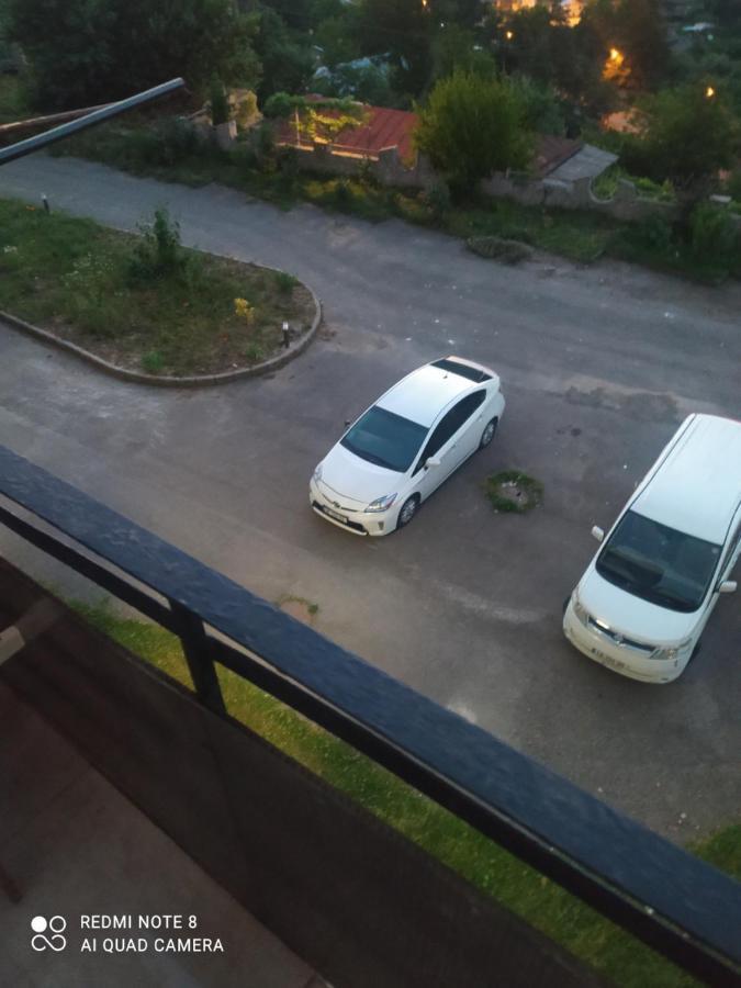 Alena'S Flat Appartement Bordzjomi Buitenkant foto