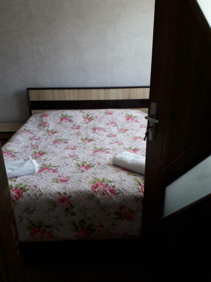 Alena'S Flat Appartement Bordzjomi Buitenkant foto